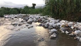 台中大甲溪遭棄置大量塑膠太空包／爆料公社