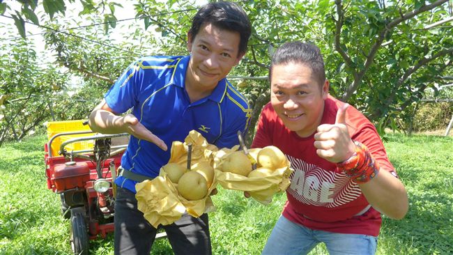 熱血主播來踢館　阿亮老神在在沒在怕