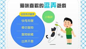 名家／毛起來／逗貓棒四大秘技（勿用）