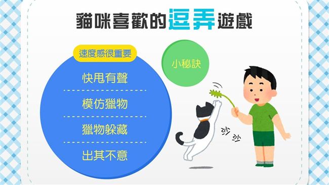 逗貓棒的4大密技　懶貓也能變獵人
