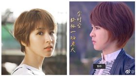 曾沛慈（合成圖／翻攝自曾沛慈臉書）