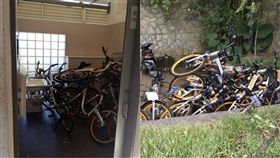 共享單車,腳踏車,oBike,擾民,占用,停車位,新北市,觀音山,爬山,亂丟,公廁　圖／翻攝自爆料公社、北管處