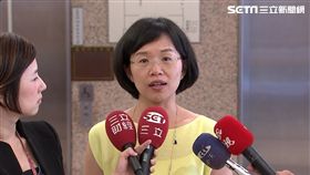 民進黨立委 蘇巧慧、綠委
