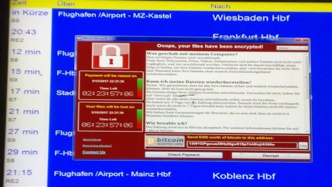 勒索軟體太猖狂　一年激增11%