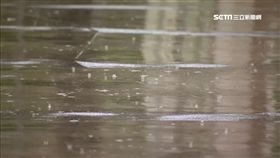 下雨,大雨,豪雨,雨勢
