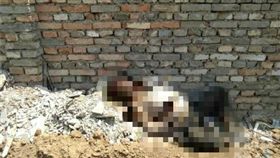 廢墟找廁所…清潔工驚見腐爛女屍,大陸,西安,