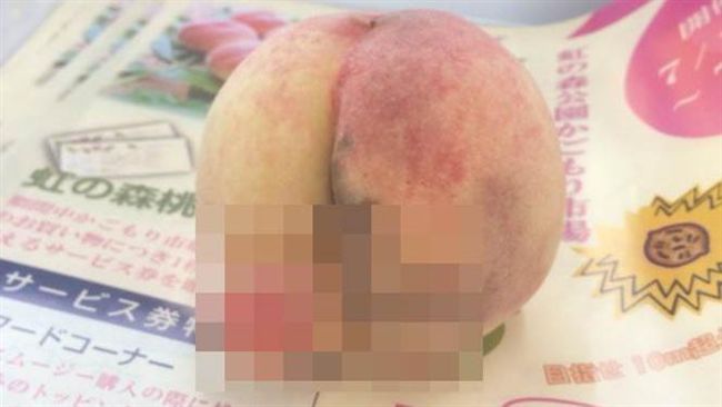 好害羞！桃子竟長出「18禁棒狀物」