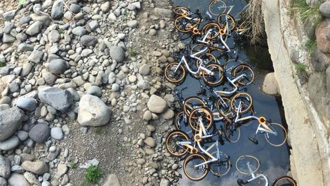 三芝oBike陳屍溪中　廠商開告了
