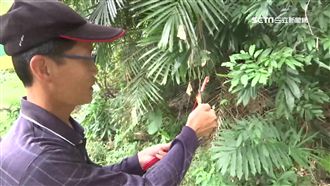 登山、落水找嘸人　民俗專家教方法