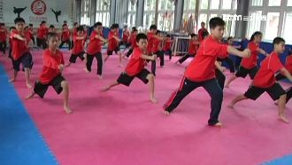 劉政鴻創立武術學校　爭議多爆轉學潮