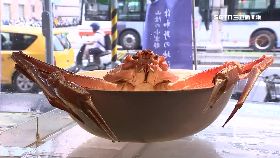 臉盆女王蟹1800