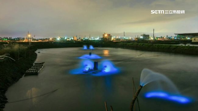 魚塭有藍眼淚！居民怨垃圾噪音也來了