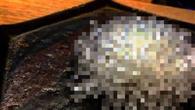 廚師,刀工,白蘿蔔,菜刀,藝術,透光,玻璃,花,大根,食物
（圖／翻攝自推特）