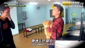 MAXMAN團隊街頭實把貓放進洗衣機。