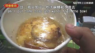 自製「果蠅召喚器」　保證消滅果蠅