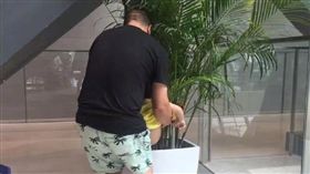 逛博物館尿急…老翁抱孫盆栽撒尿　堅不認錯：給植物施點肥
微博