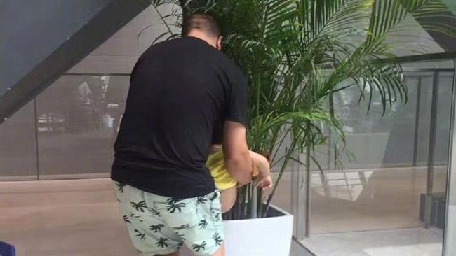 博物館抱孫尿盆栽　老翁：給植物施肥