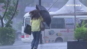 f空姐哭颱風1200