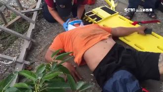 颱風前修剪樹木　工人遭壓傷重摔在地