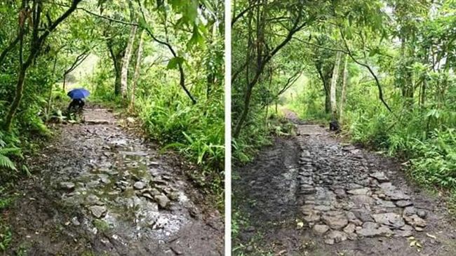 手作步道就地取材　耐用環保好自然