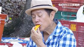 草地狀元,黃西田