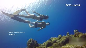 辣妹恆春學自由潛水　指控教練性騷擾