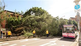 2017年第9號颱風尼莎暴風圈30日早上已經脫離台灣本島及澎湖，經過一夜強風豪雨，景美國中校園樹木倒塌壓垮圍牆與公車候車亭，造成景中街交通堵塞，清潔隊員立即出動，協助恢復環境。中央社記者郭日曉攝　106年7月30日