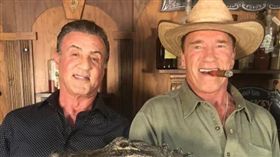 史特龍,阿諾（圖／翻攝自史特龍IG）