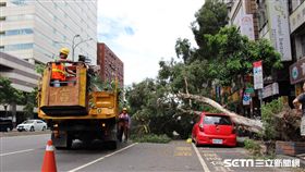 尼莎來襲北市樹倒嚴重　工務局／大地工程處進行清理　北市府提供