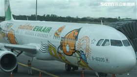 長榮航空蛋黃哥彩繪機。（圖／記者林敬旻攝）