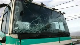 尼莎颱風,強陣風,電線桿,停電,香蕉,蕉農