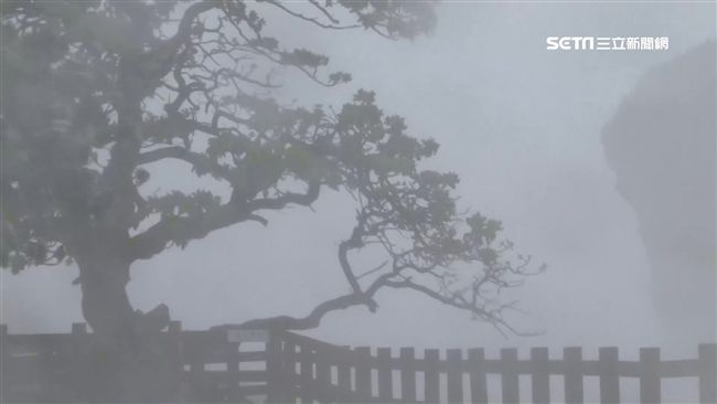 南橫梅蘭明隧道暫封閉　機具隨時待命