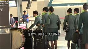 長榮,尼莎,颱風,天災假,人力,調度,空姐