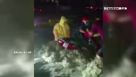 K大樹沖騎士2430