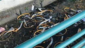 20餘輛oBike疑遭人惡意丟棄任頻潮水拍打。（圖／翻攝自林口大家庭）