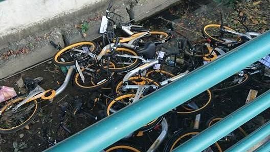 oBike又遭亂丟　任憑潮水沖刷