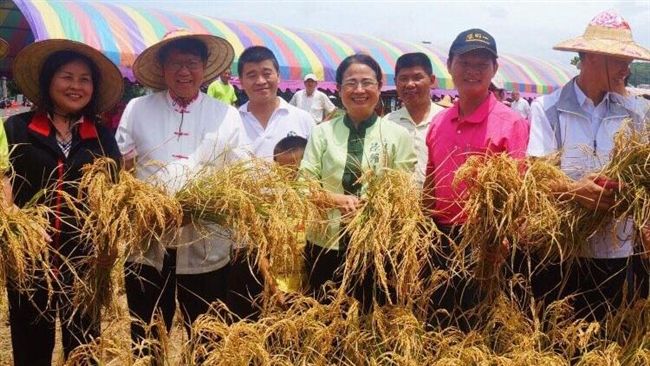 東森山林推小農之旅　體驗草編打稻穀