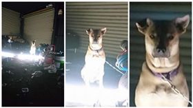 下雨,颱風,寵物,怨氣,遛狗,玩水
圖／翻攝自臉書爆廢公社