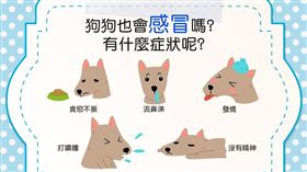 名家／毛起來／狗狗也會感冒
