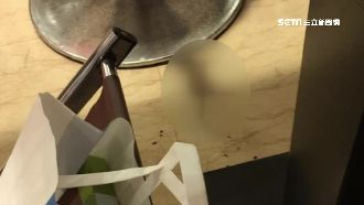 連鎖拉麵店用餐　座位旁驚見死老鼠