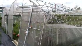 ｆ三星蔥爆貴1200