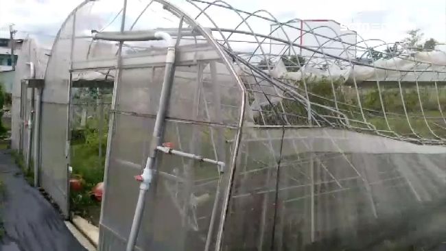 尼莎宜蘭登陸　三星蔥毀農損逾2千萬