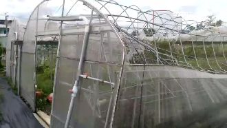 尼莎宜蘭登陸　三星蔥毀農損逾2千萬