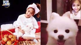 邵雨薇／翻攝自臉書