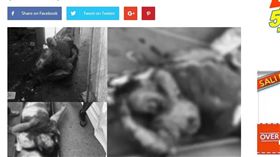 菲律賓,掃毒,市長帕洛吉諾格,Reynaldo Parojinog,擊斃(圖／翻攝自rmn.ph)
https://rmn.ph/patay-sa-madugong-raid-sa-bahay-ni-ozamis-city-mayor-reynaldo-parojinog-sr-umakyat-na-sa-15/
