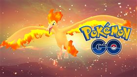 火焰鳥　翻攝Pokemon GO粉絲團