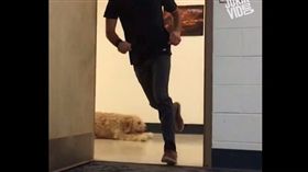 狗,寵物,主人,你追我跑,煞車,滑壘,急轉彎