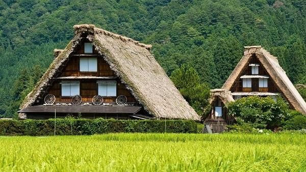 直飛日本新潟！體驗《神隱少女》場景