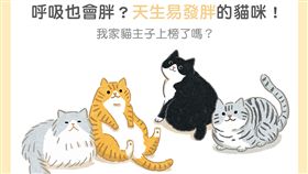 名家／毛起來／易發胖的貓咪品種