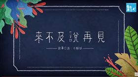 小燈泡《來不及說再見》/翻攝自youtube